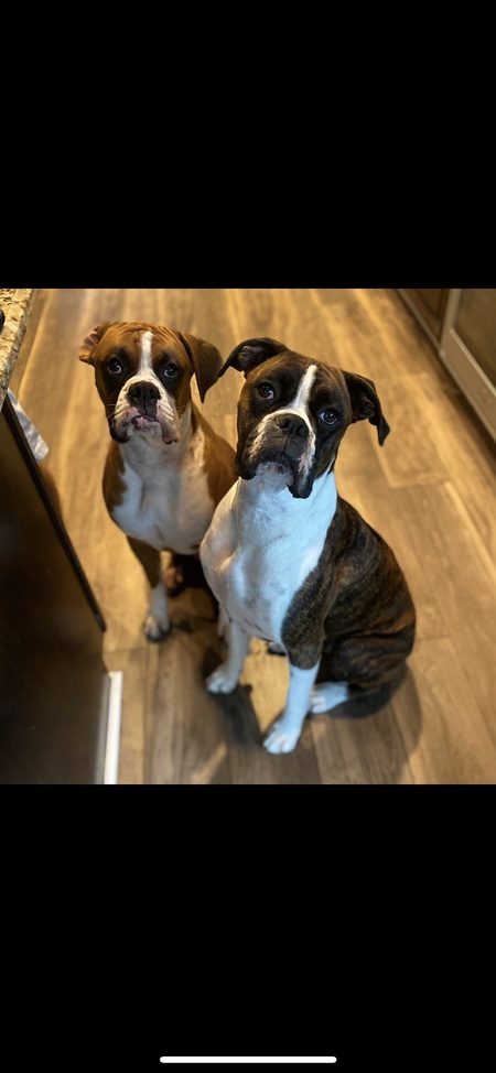 Hank & Nash 