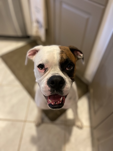 Winston