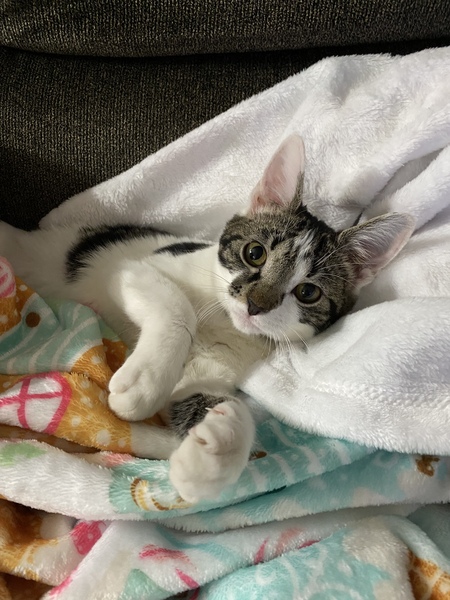 Tillie Matilda