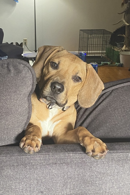 Remington 