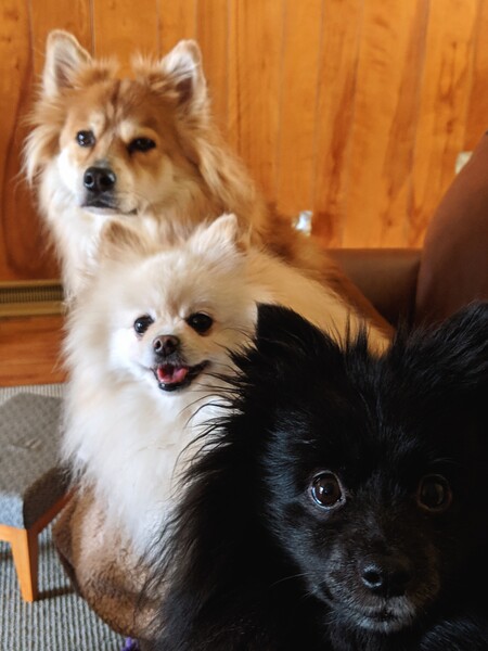 Bernie, Kozar & Dieken
