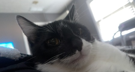 Spook