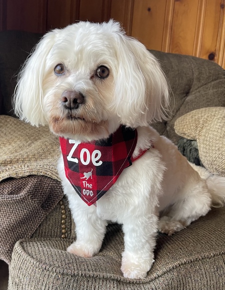 Zoe
