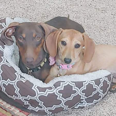 Terry & Tilley