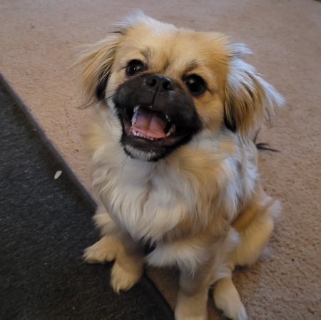 Roxie