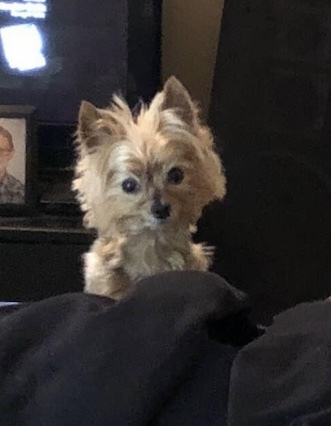 Molly