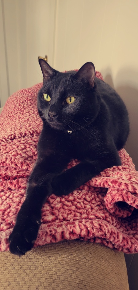Onyx