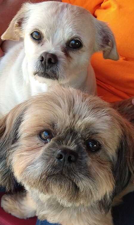 Ren (top) and Mia