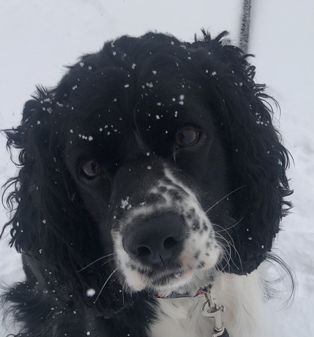 Gunner
