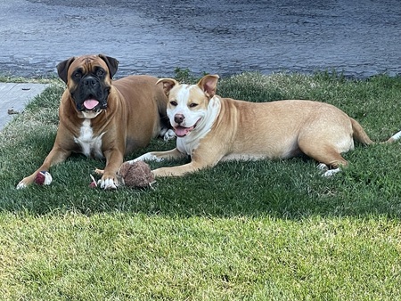 Bentley & Gracie