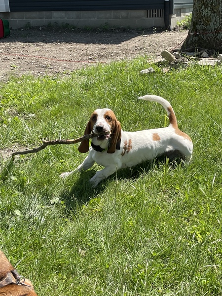 Bubba Lou