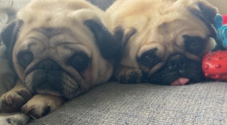 Louie and Penny 