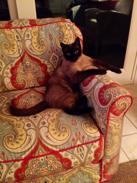 Simon