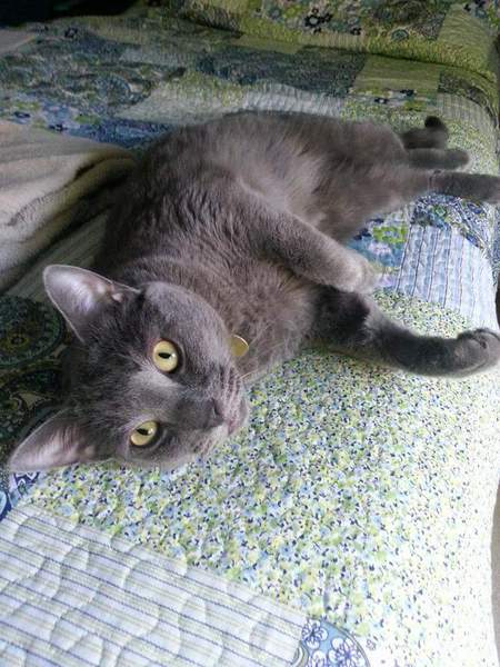 Milo