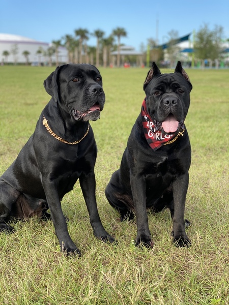 Amber & Vette
