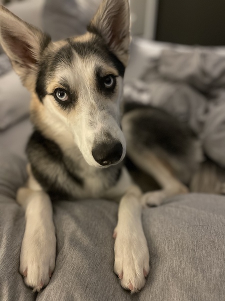 Ellie 