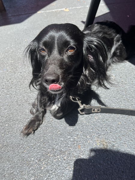 Ella-Mayo