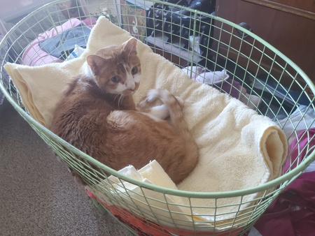 Winnie