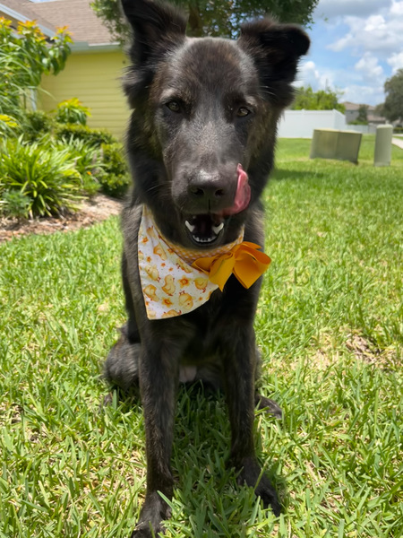Mia