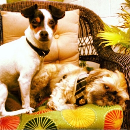Dixie and Butterball