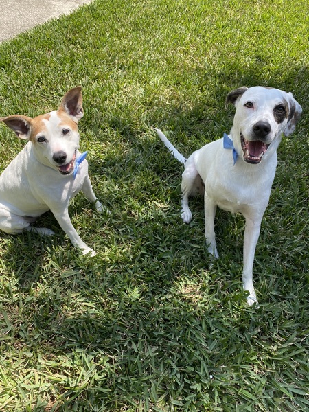 Mallory and Bella