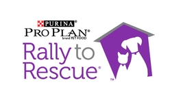 Purina Rally To Rescue