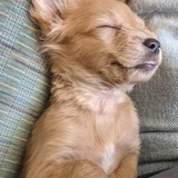 Entry image for Oona