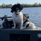 Entry image for Luna 