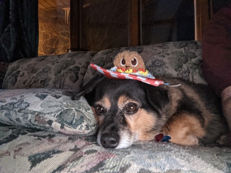 Entry image for Charlie. Clicking this image will show a larger photo