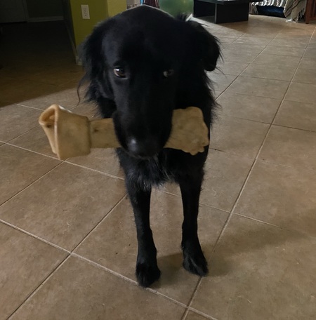 Vader