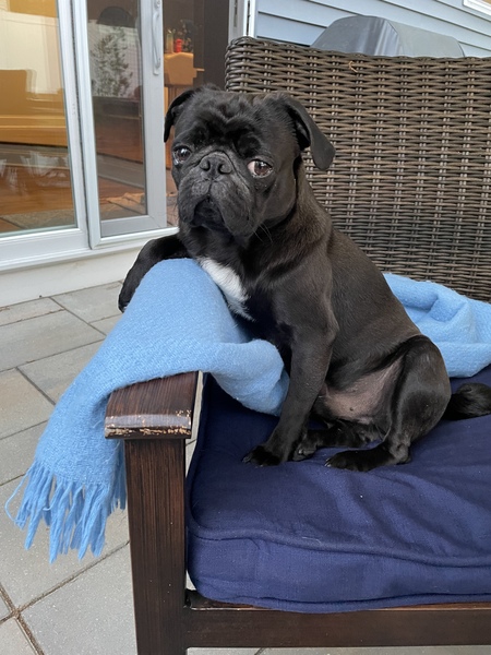 Axel
