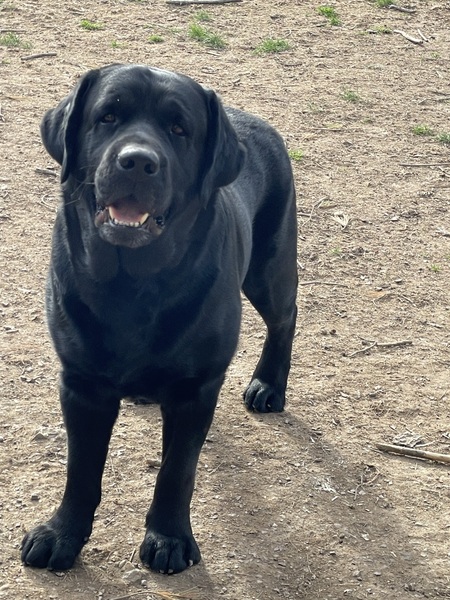 Duncan