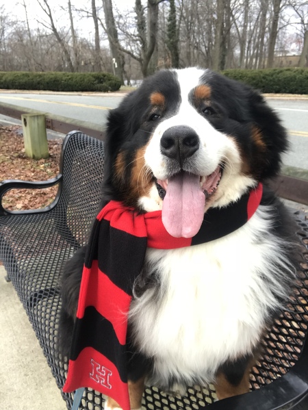 Murphy