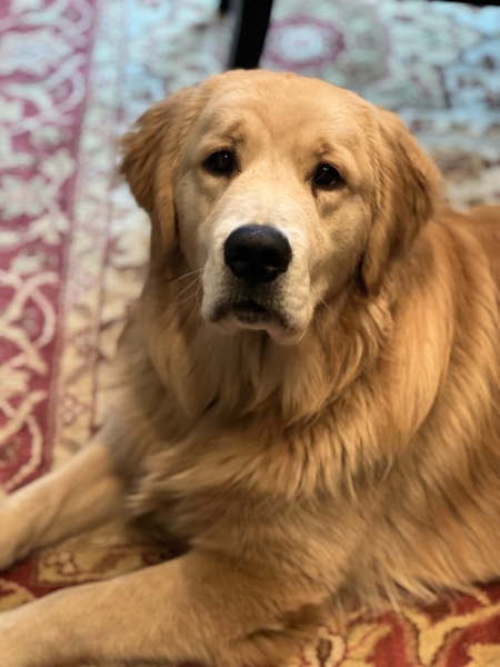 Cooper