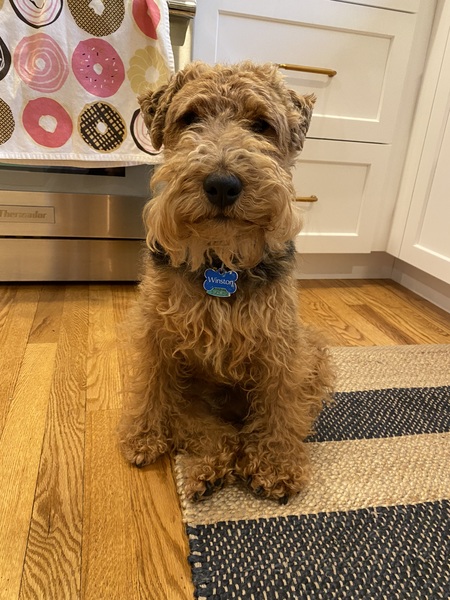 Winston 