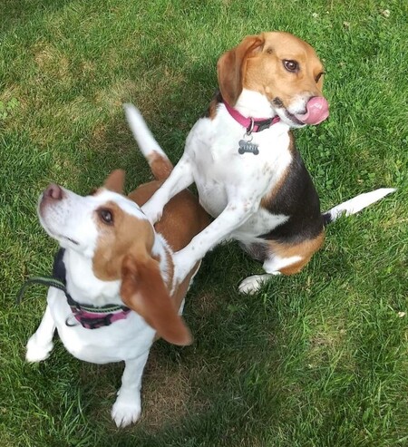 Penny & Laney