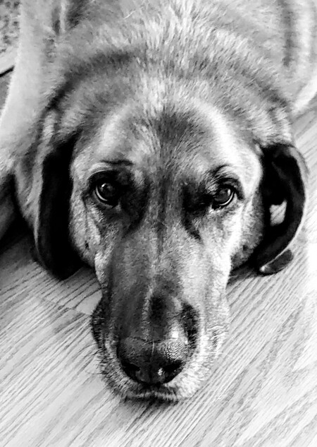 Jethro 
