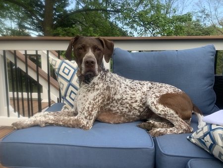 Rosie