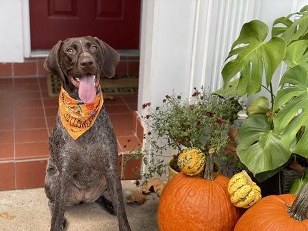 Kona