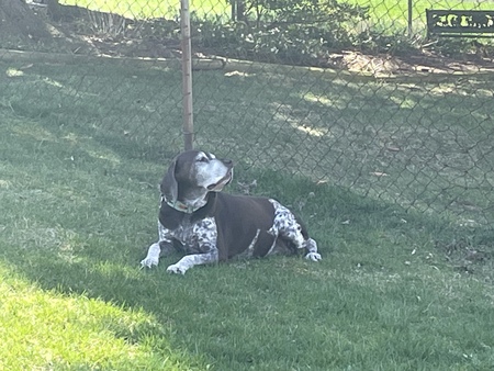 Gustav 