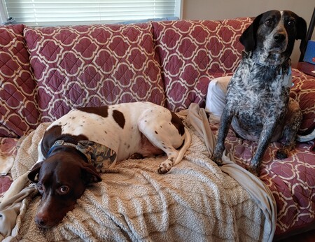 Arlo and Della