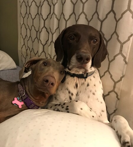Phoebe and Mortimer