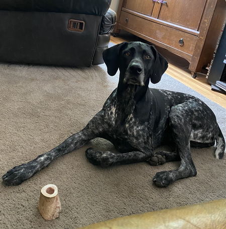 Remi
