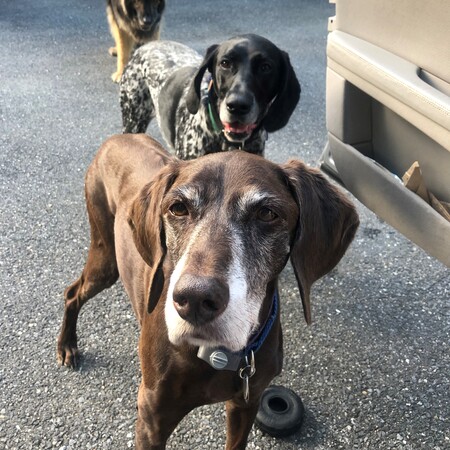 Wrigley & Ellie (with special guest appearance from Phoenix)