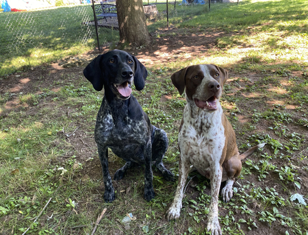 Remi and Tucker