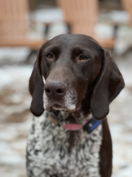 Bella