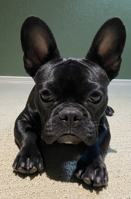 Carlos