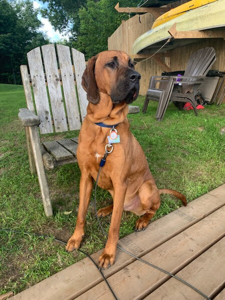 Otis
