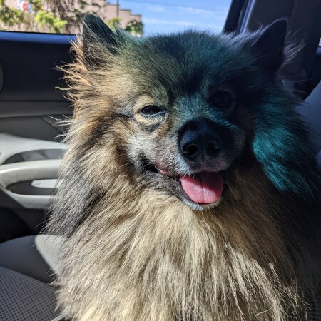Benny