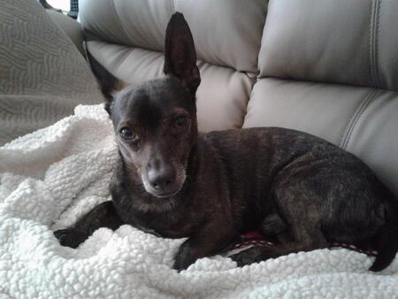 Samy